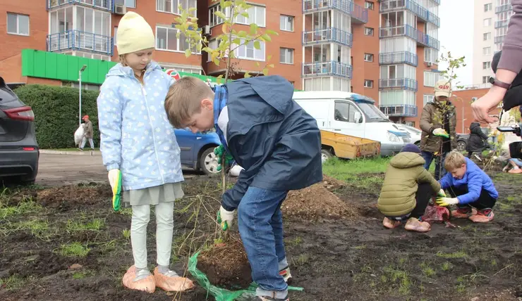 В Красноярске на набережной Качи в Железнодорожном районе посадили 30 яблонь