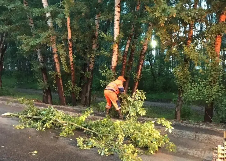 Коммунальные службы всю ночь и утро устраняли последствия грозы в Красноярске