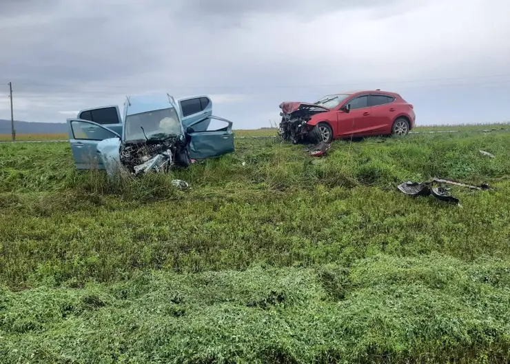 На трассе в Красноярском крае из-за выезда автомобиля на встречку травмировались два ребенка