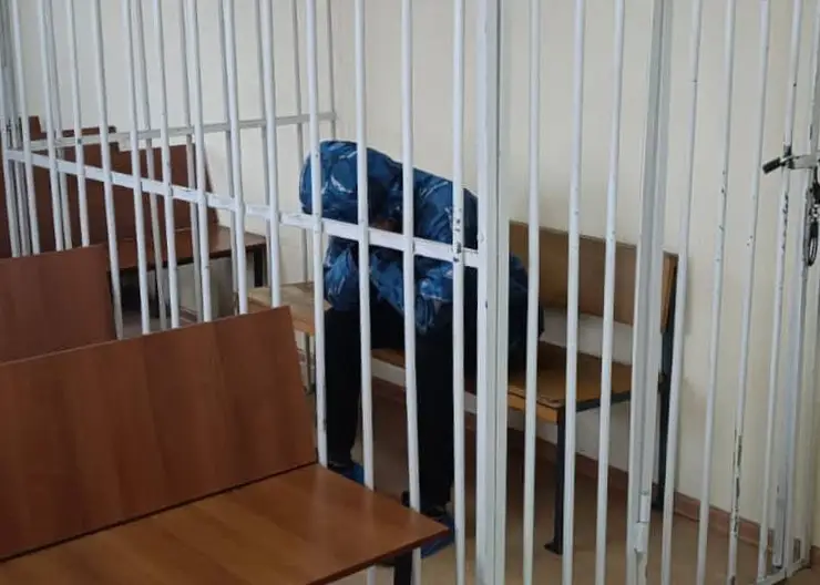 Жителя Минусинска арестовали на 2 месяца за попытку выбросить из окна годовалую дочь