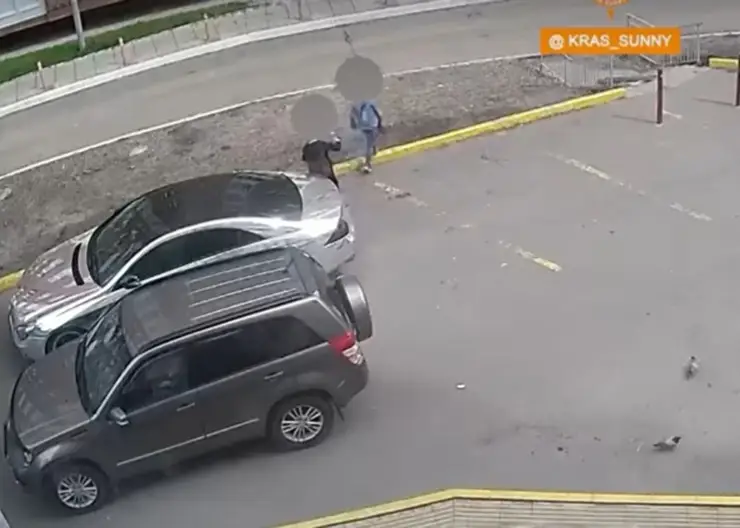 В красноярском Солнечном дети пытались поджечь автомобиль