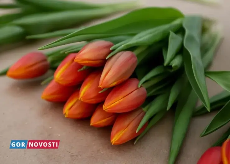 В магазинах Красноярска начали продавать тюльпаны к 8 Марта