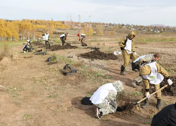В Красноярске в будущем экопарке «Юдинская долина» высадили несколько сотен деревьев