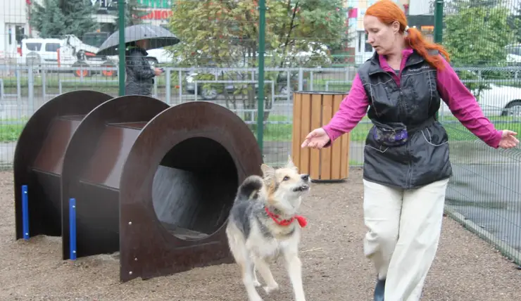 В Красноярске открыли площадку для выгула собак в сквере на месте бывшего Казачьего рынка
