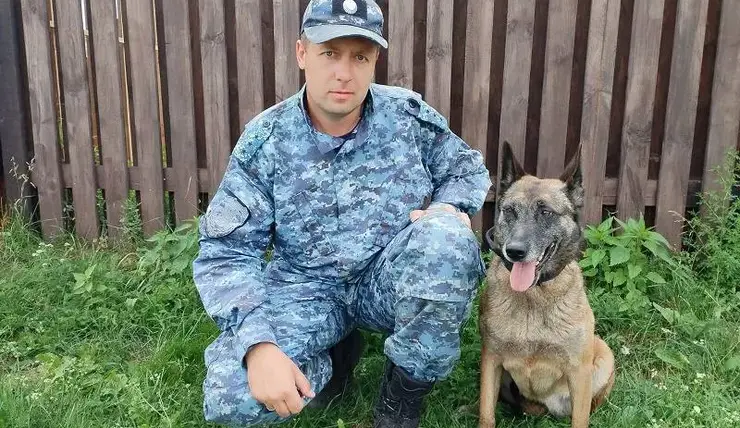 В Красноярском крае собака по кличке Заноза помогла найти украденный утюг