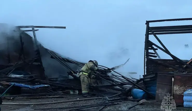 В Красноярском крае во время ночного пожара на ферме сгорели 70 свиней