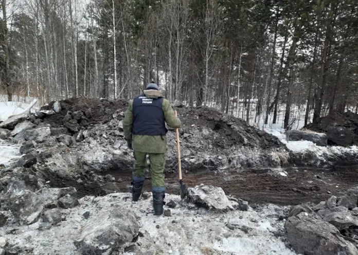 В лесу нашли тело пропавшего почти шесть лет назад 26-летнего красноярца