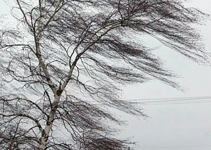 В Красноярске ожидаются порывы ветра до 18 м/с и гололедица