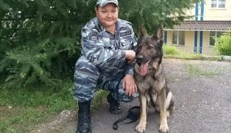 В Красноярске собака по кличке Венза помогла поймать домушника