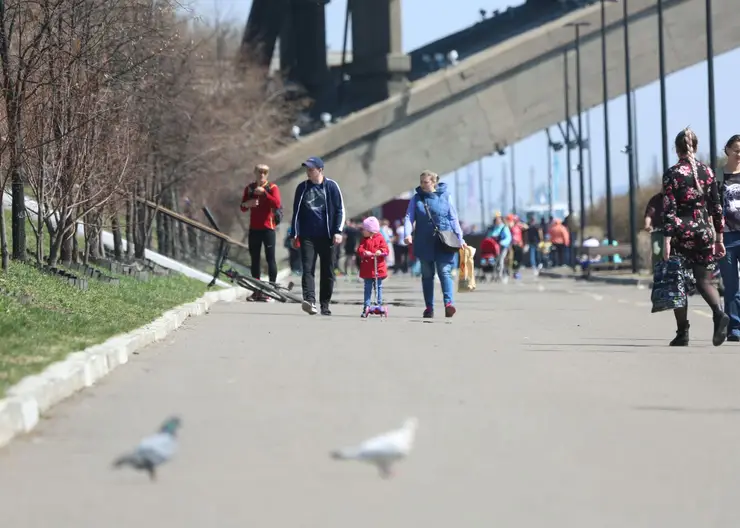 В Красноярске в выходные потеплеет до +21 градуса