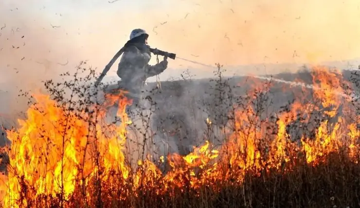 В Красноярском крае впервые в этом году загорелась сухая трава