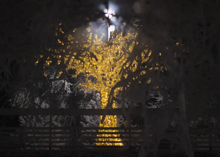 В Историческом квартале Красноярска появятся световые деревья