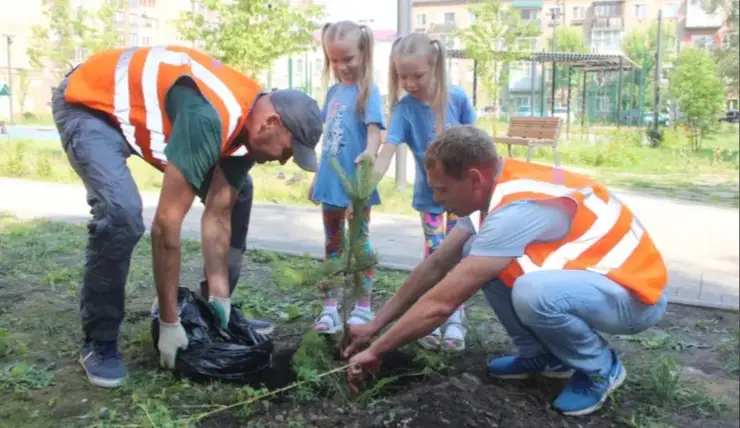 В Красноярске за неделю  высадили 100 деревьев в Железнодорожном районе