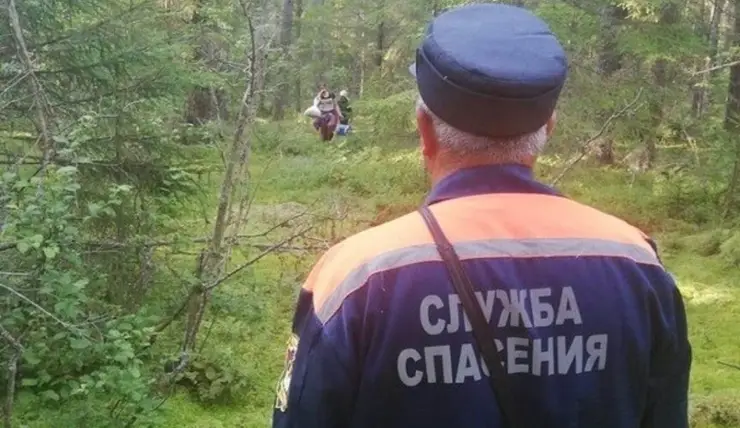 В Красноярском крае в лесах пропали двое мужчин