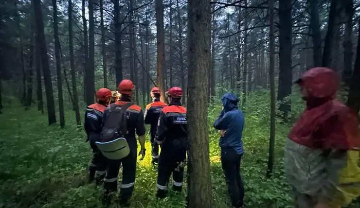 В Красноярском крае спасли заблудившегося лесного пожарного