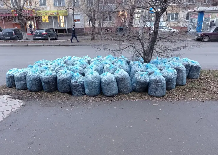 В Свердловском районе Красноярска собрали 40 кубометров мусора