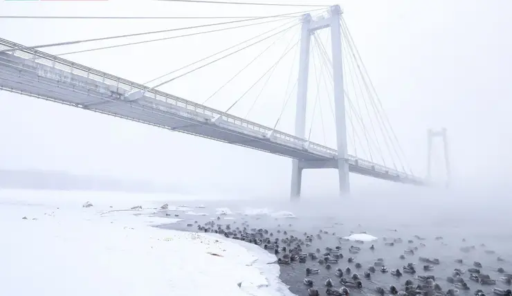 В центральных районах Красноярского края 17 января прогнозируют морозы до -40 градусов