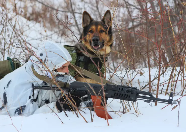 Боевые товарищи. Как тренируют собак спецназа ГУФСИН