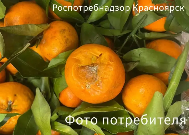 В Красноярске дискаунтеру «Батон» объявили предостережение из-за гнилых фруктов и овощей