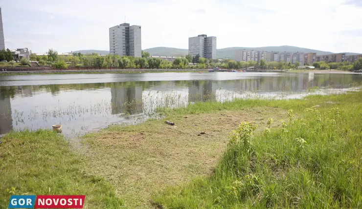 В Красноярске благоустраивают территорию пляжа на острове Отдыха