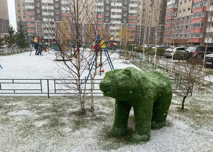 Последний день октября в Красноярске будет холодным и снежным