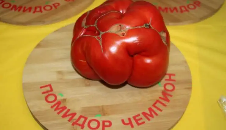 Жительница Минусинска получила главный приз за самый большой помидор