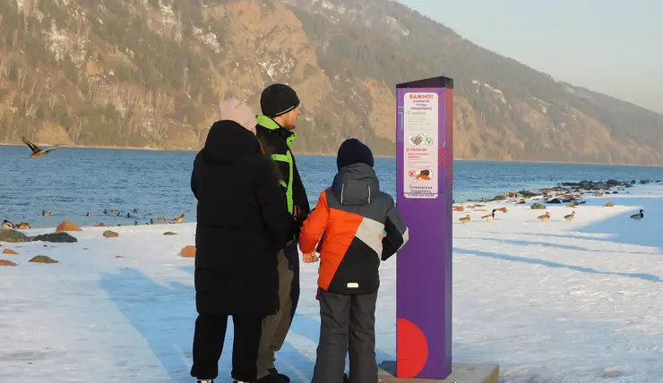 В Дивногорске на набережной установили три автомата с кормом для уток