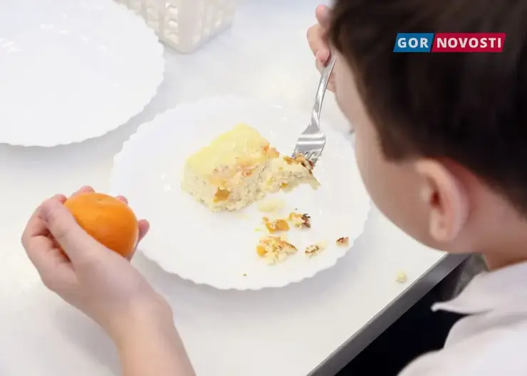 В Красноярске родители учеников проверили питание в школьной столовой