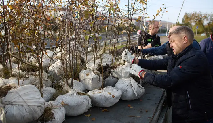 «Красноярская рециклинговая компания» высадила 100 яблонь в краевой столице