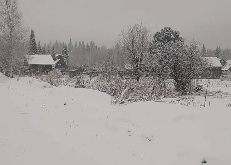 Дачи под Дивногорском в Красноярском крае завалило снегом