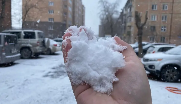 В Красноярске утром выпал снег