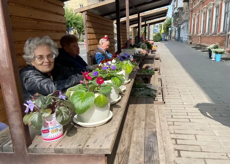 В Центральном районе Красноярска работает 139 торговых рядов для садоводов