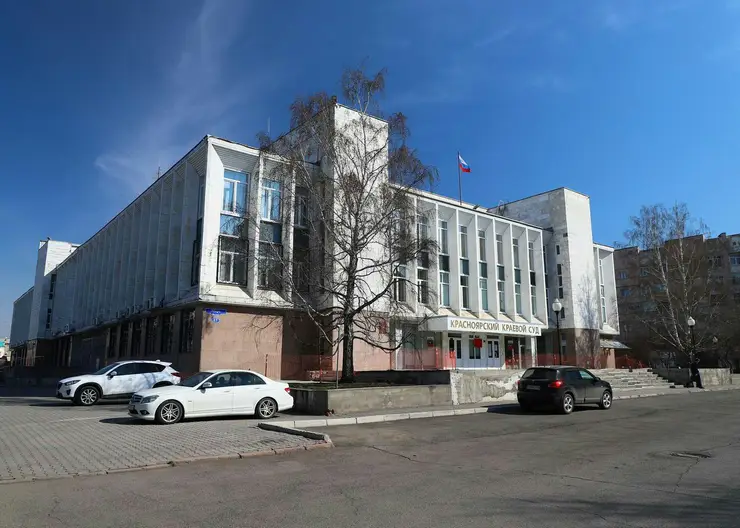 Жительницу Красноярска осудили на 9 лет лишения свободы за убийство дочери