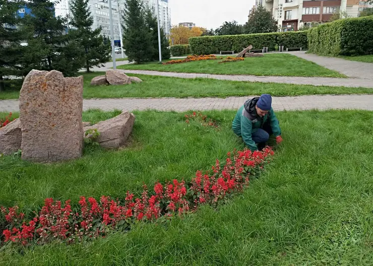 В Красноярске начали убирать цветники