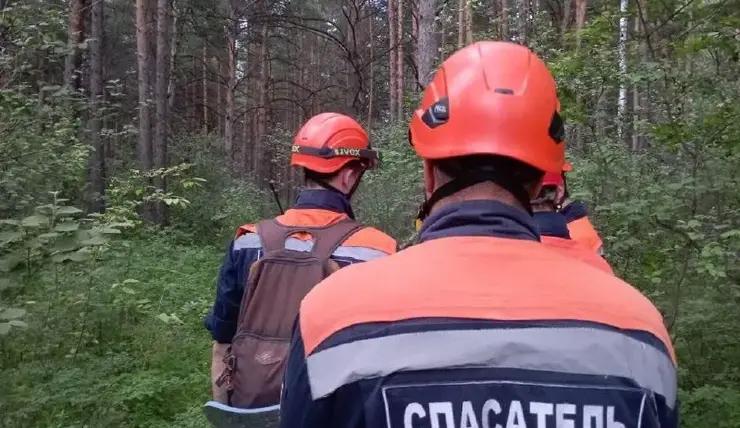 В Красноярском крае в лесу нашли пропавшую два дня назад 82-летнюю пенсионерку