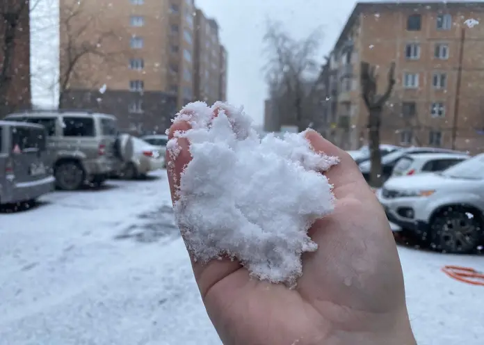 В Красноярске утром выпал снег