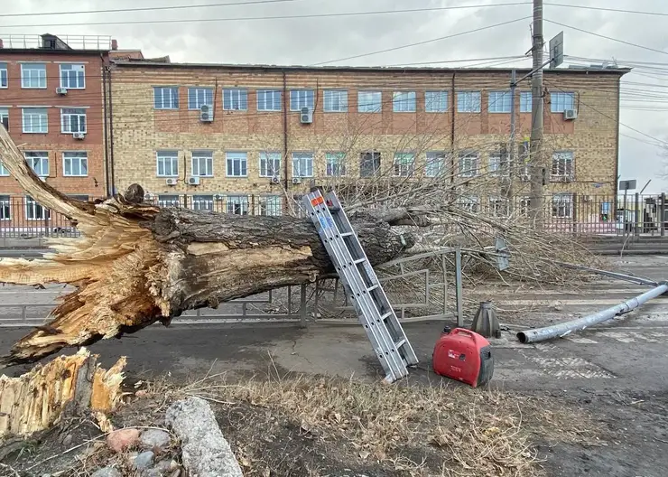 Синоптик объяснил причину сильного ветра в Красноярске