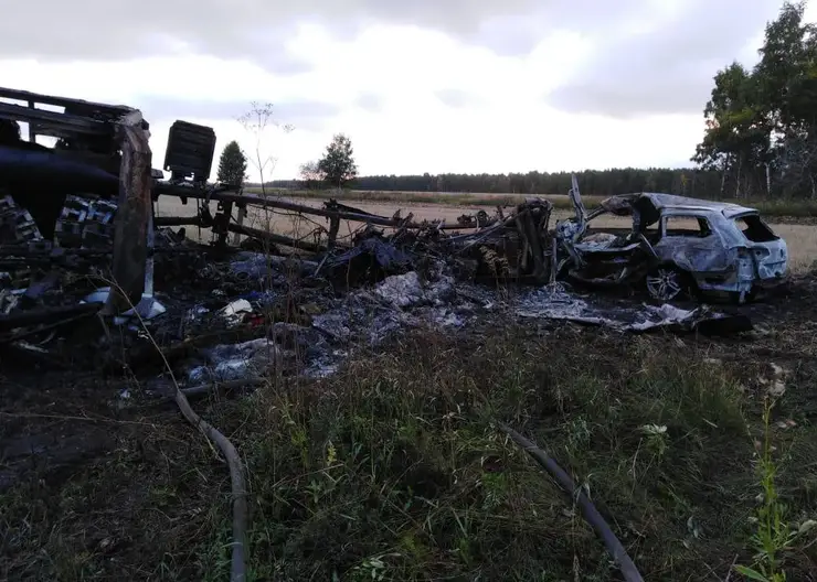 В Красноярском крае в массовом ДТП погибли два человека