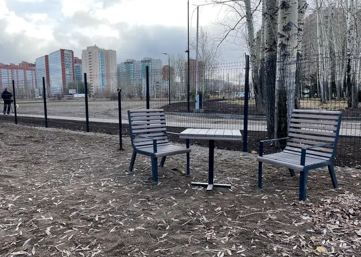 В Красноярске на площадке для выгула собак поставили столик со стульями