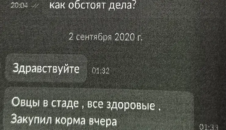 Житель Железногорска «инвестировал» в овец и перевел мошеннику 100 тысяч рублей