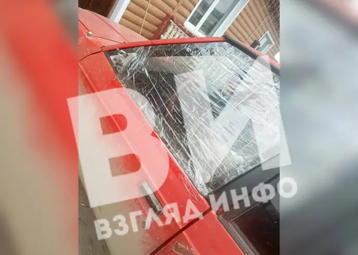 В Красноярском крае медведь напал на автомобиль