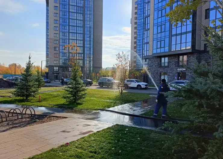 В Красноярске за неделю посадили 5 143 дерева