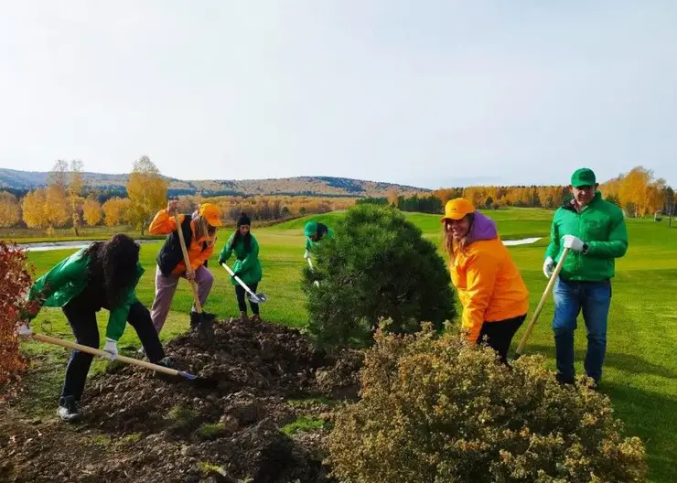 В Красноярске начали обследовать посаженные в прошлом году деревья