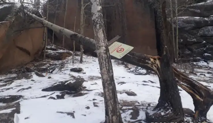 В Красноярске часть национального парка «Столбы» закрыли из-за прошедшего урагана