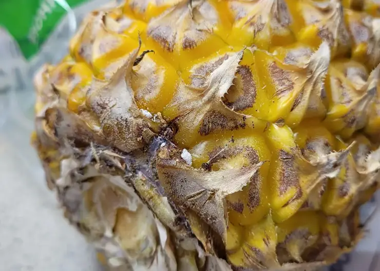 В Красноярск хотели ввезти 19 тонн зараженных ананасов