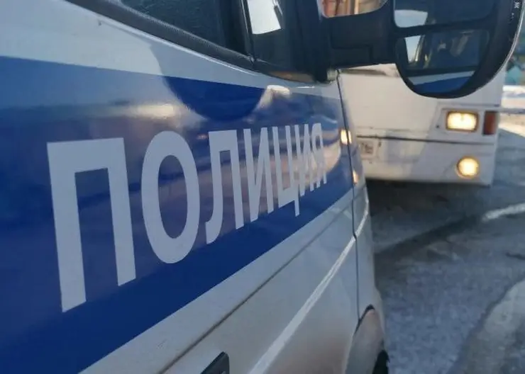 В Емельяновском районе полицейские остановили нетрезвого 17-летнего водителя