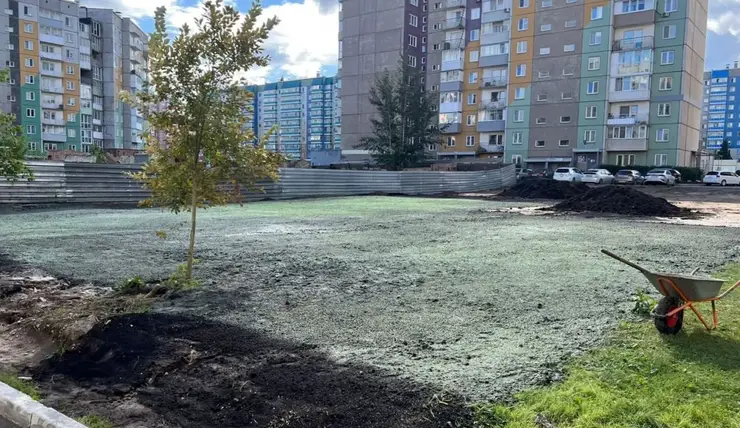 В Красноярске заброшенный пустырь на улице Дмитрия Мартынова засеяли газоном