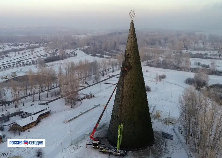 В Красноярске начали наряжать главную елку города на острове Татышев