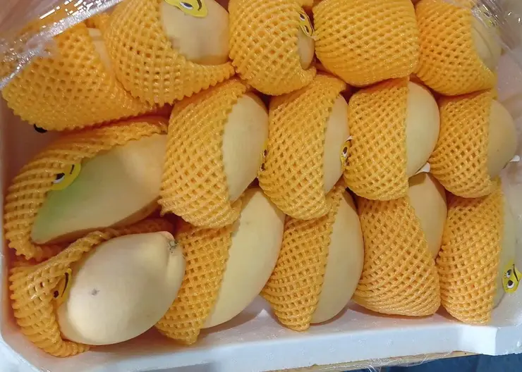 В Красноярск из Китая привезли 540 кг зараженного манго