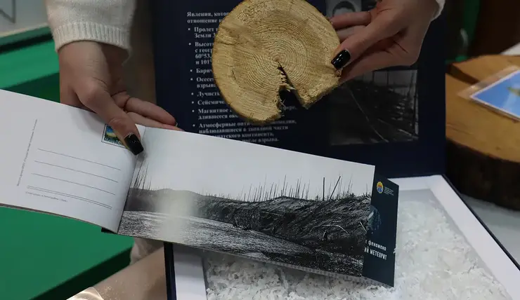 В Музей леса Красноярского края привезли экспонат с места падения Тунгусского метеорита